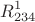 $$R^{1}_{234}$$