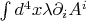 $\int d^4 x \lambda \partial_i A^i$
