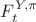 $F_{t}^{Y, \pi}$