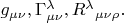 $g_{\mu\nu},\Gamma^\lambda_{\mu\nu},R^{\lambda}{}_{\mu\nu\rho}.$
