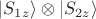 $|S_{1z}\rangle \otimes |S_{2z}\rangle $