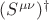 $(S^{\mu\nu})^{\dagger}$