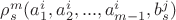 $\[\rho _s^m(a_1^i,a_2^i,...,a_{m - 1}^i,b_s^j)\]$