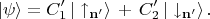 $$|\psi\rangle=C'_1\,|\uparrow_{\mathbf{n}'}\rangle\,+\,C'_2\,|\downarrow_{\mathbf{n}'}\rangle\,.$$