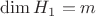 $\dim H_1=m$