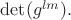 $\det(g^{lm}).$