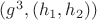 $(g^{3},(h_{1},h_{2}))$