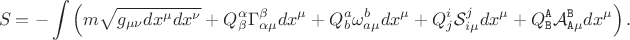$$
S = - \int \left( m \sqrt{g_{\mu \nu} dx^{\mu} dx^{\nu}}
+ Q^{\alpha}_{\beta} \Gamma^{\beta}_{\alpha \mu} dx^{\mu}
+ Q^{a}_{b} \omega^{b}_{a \mu} dx^{\mu}
+ Q^{i}_{j} {\mathcal S}^{j}_{i \mu} dx^{\mu}
+ Q^{\tt A}_{\tt B} {\mathcal A}^{\tt B}_{{\tt A} \mu} dx^{\mu}
\right).
$$
