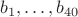 $b_1, \ldots, b_{40}$