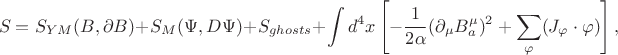 $$
S = S_{YM}(B, \partial B) + S_{M}(\Psi , D\Psi) + S_{ghosts} + \int d^{4}x \left[-\frac{1}{2\alpha}(\partial_{\mu}B^{\mu}_{a})^{2} + \sum_{\varphi}(J_{\varphi} \cdot \varphi ) \right],
$$