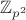 ${\mathbb Z}_{p^2}$