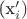 (x_i')