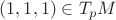 $(1,1,1) \in T_pM$