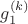 $g_1^{(k)}$