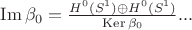 $\operatorname{Im} \beta_0 = \frac{H^0(S^1) \oplus H^0(S^1)}{\operatorname{Ker} \beta_0} ... $