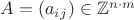 $A = (a_i_j) \in \mathbb {Z}^{n \cdot m} $