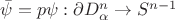 $\bar\psi=p\psi:\partial D_\alpha^n\to S^{n-1}$