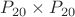 $P_{20}\times P_{20}$
