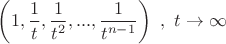 $\left (1, \dfrac {1}{t}, \dfrac {1}{t^2},...,\dfrac {1}{t^{n-1}}\right) \ , \ t \rightarrow \infty$