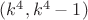 $(k^4, k^4-1)$