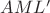 $AML'$ $AML'$
