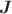 $\boldsymbol{J}$
