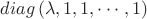 $diag\left(\lambda,1,1,\cdots,1\right)$