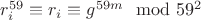 $ r_i^{59}\equiv r_i\equiv g^{59m}\mod 59^2$