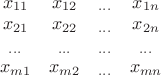 $
\left \begin{array}{cccc} x_{11} & x_{12} & _{...} & x_{1n} \\ 
x_{21} & x_{22} & _{...} & x_{2n} \\
_{...} & _{...} & _{...} & _{...} \\
x_{m1} & x_{m2} & _{...} & x_{mn}
\end{array} \right $
