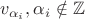 $v_{\alpha_i},\alpha_i\notin\mathbb{Z}$ $v_{\alpha_i},\alpha_i\notin\mathbb{Z}$
