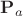 $\mathbf{P}_a$ $\mathbf{P}_a$