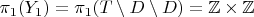 $$\pi_1 (Y_1) = \pi_1( T \setminus D \setminus D ) = \mathbb{Z} \times \mathbb{Z}$$