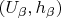 $(U_\beta,h_\beta)$
