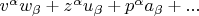 $v^\alpha  w_\beta   + z^\alpha  u_\beta   + p^\alpha  a_\beta   + ...$