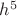 $h^5$