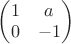 $\begin{pmatrix}
1& a\\
0& -1
\end{pmatrix}$