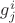 $g^i_j$