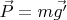 $\vec{P}=m\vec{g'}$