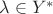 $\lambda \in Y^*$