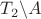 $T_2\backslash A$