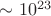 $\sim 10^{23}$