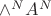 $\wedge^N A^N$