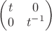 $\begin{pmatrix}t&0\\0&t^{-1}\end{pmatrix}$