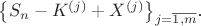 $\big\{S_n-K^{(j)}+X^{(j)}\big\}_{ j=\overline {1,m}}$.
