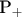 P_+