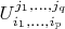 $U_{i_1,\dots,i_p}^{j_1,\dots,j_q}$