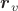 $\boldsymbol{r}_v$