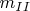 $m_{II}$