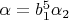 $\alpha=b_1^5\alpha_2$