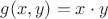 $g(x, y) = x \cdot y$